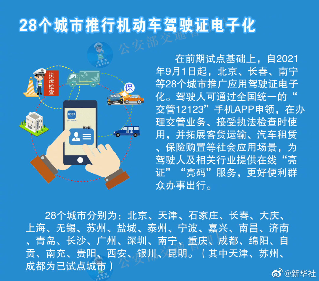 新澳2024天天正版资料大全,实践数据解释定义_V267.128