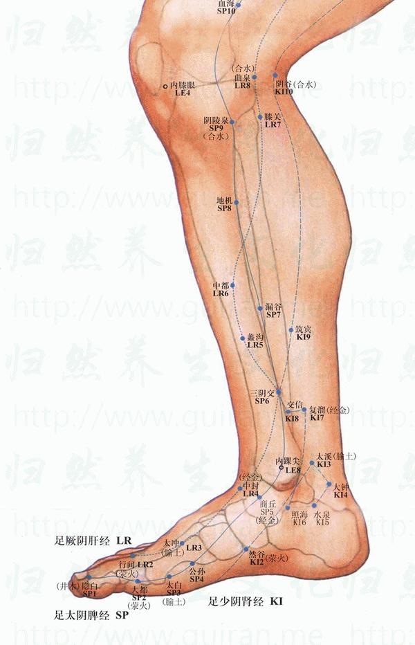 最新3D天天彩图，视觉盛宴，探索无限可能