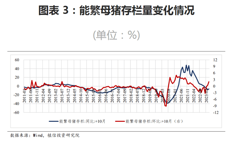 最新能繁母猪存栏数据揭示行业趋势及未来展望